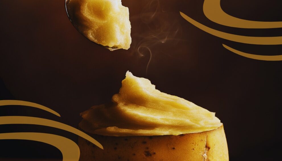 Shree Aahar- The Trusted Manufacturer of Premium Potato Flakes